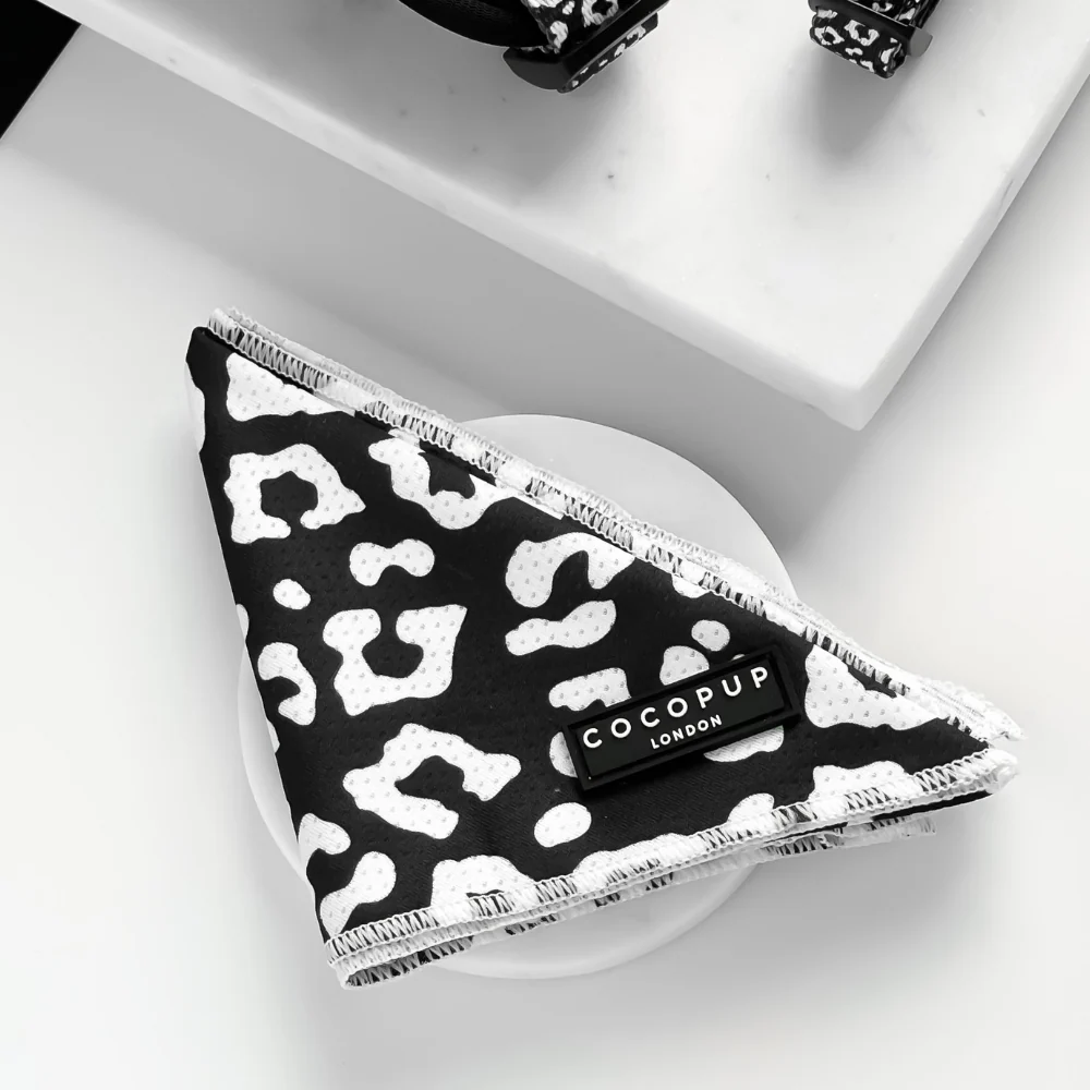 Sale Dog Bandanas